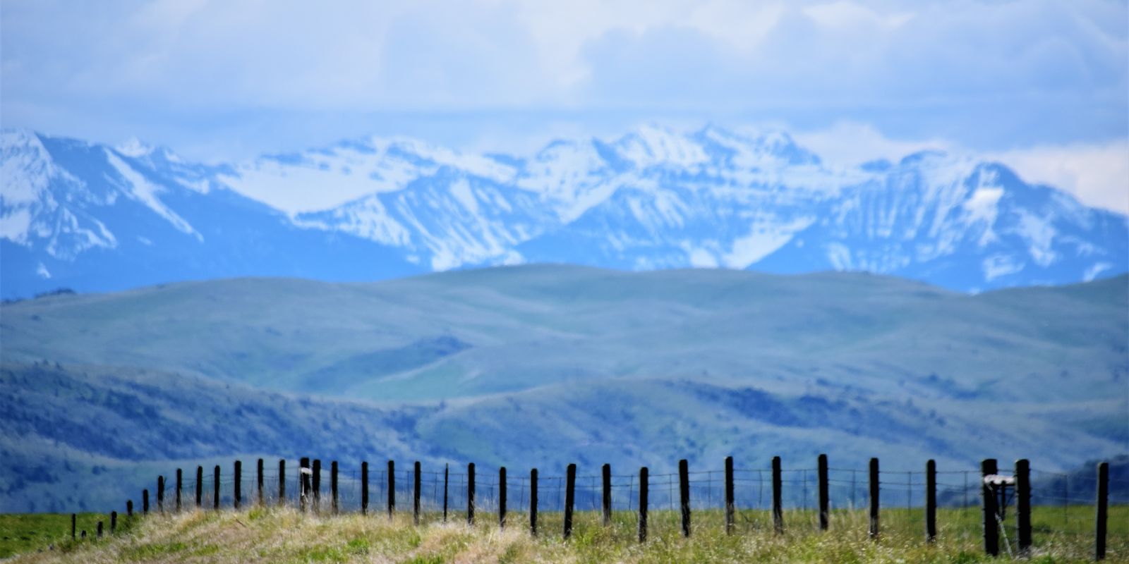 Wire fence across green rolling hills with snow-covered mountains behind, near Harrison, Montana