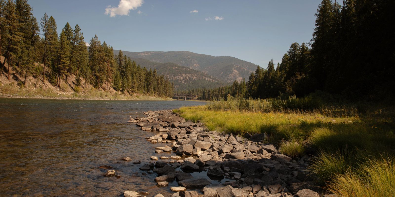 A calm river with a rocky bank, golden grass and pine-covered hills in late afternoon light near Saint Regis, Montana.