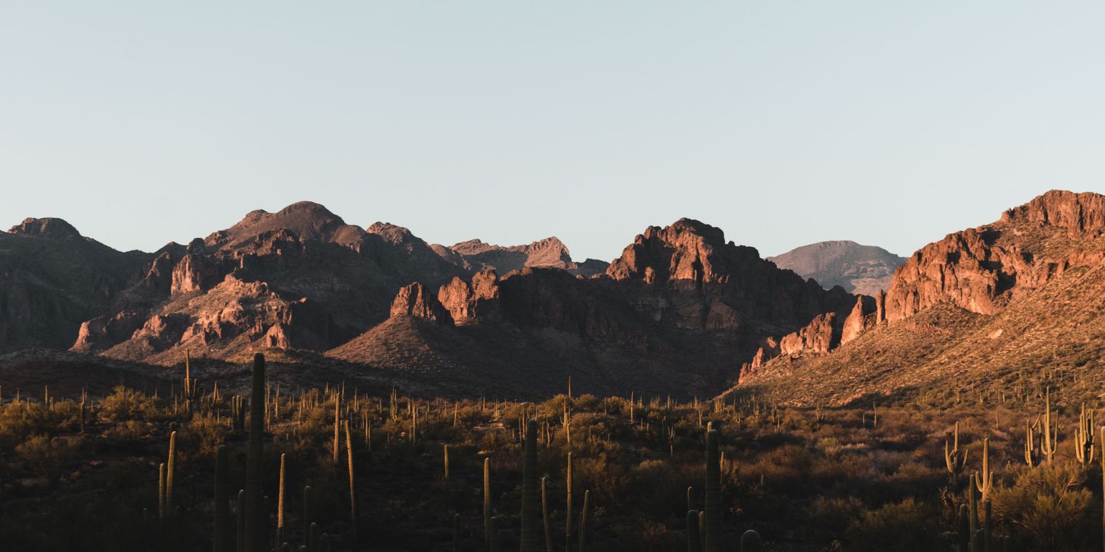 Rugged desert mountains lit orange at sunset above a slope dotted with saguaro cactus in Arizona.