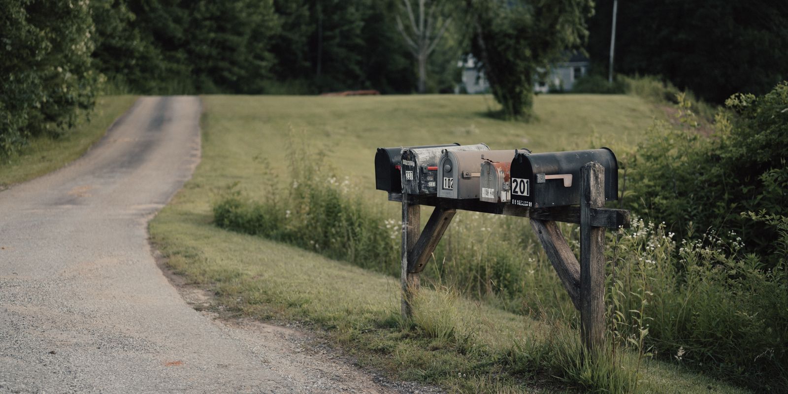 A row of weathered rural mailboxes on a wooden frame beside a narrow paved country lane.