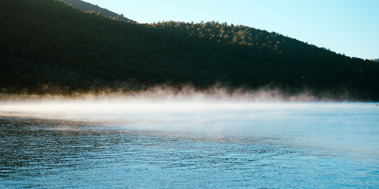 Morning mist drifting over calm blue water below a dark forested hillside.