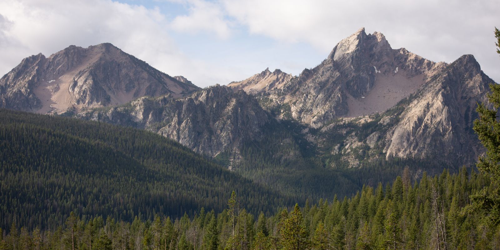 Jagged granite peaks of the Sawtooth Mountains rising above dense evergreen forest near Stanley, Idaho.