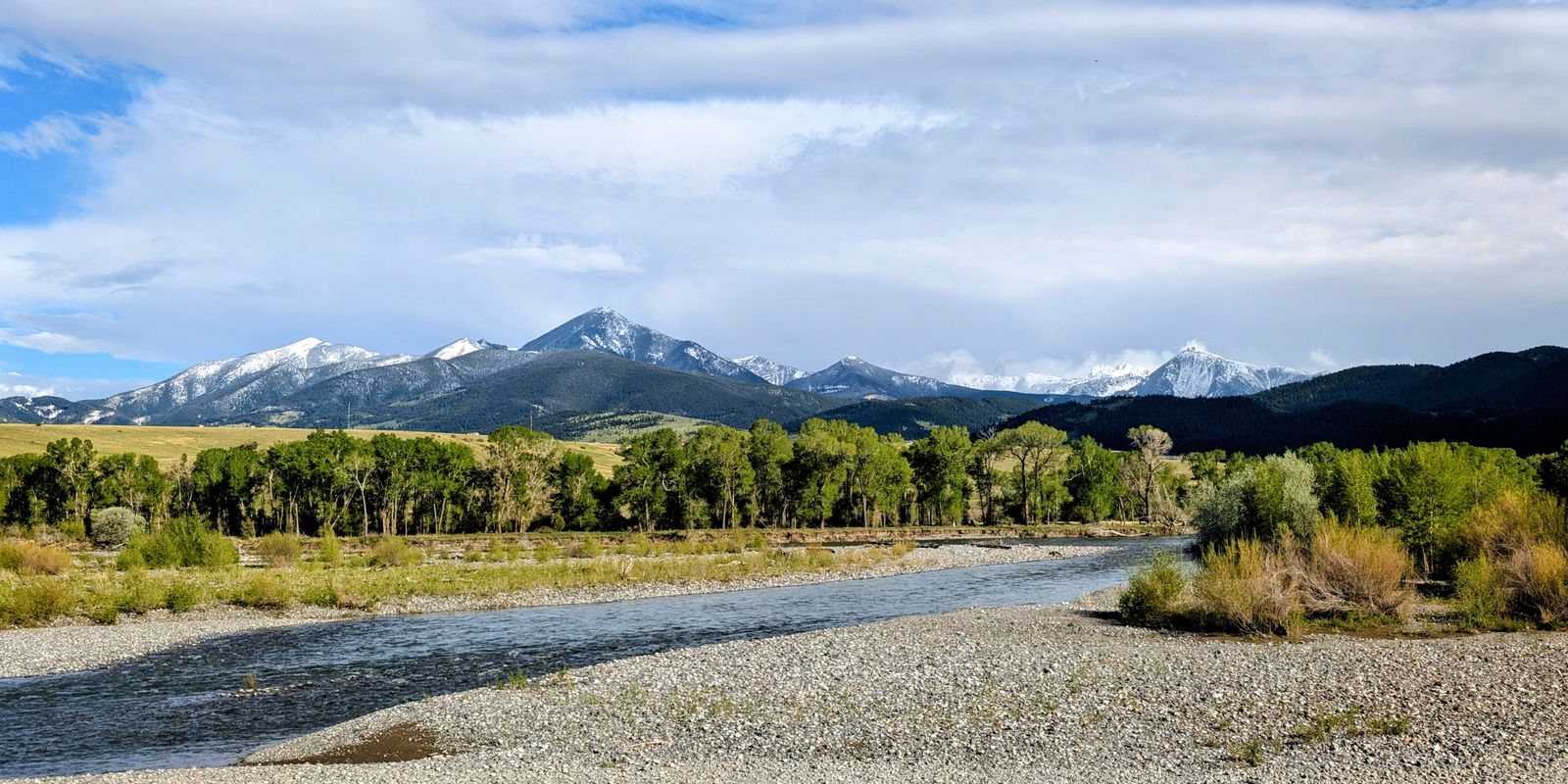Shallow river with gravel bars, cottonwoods and snow-capped mountains under a blue sky