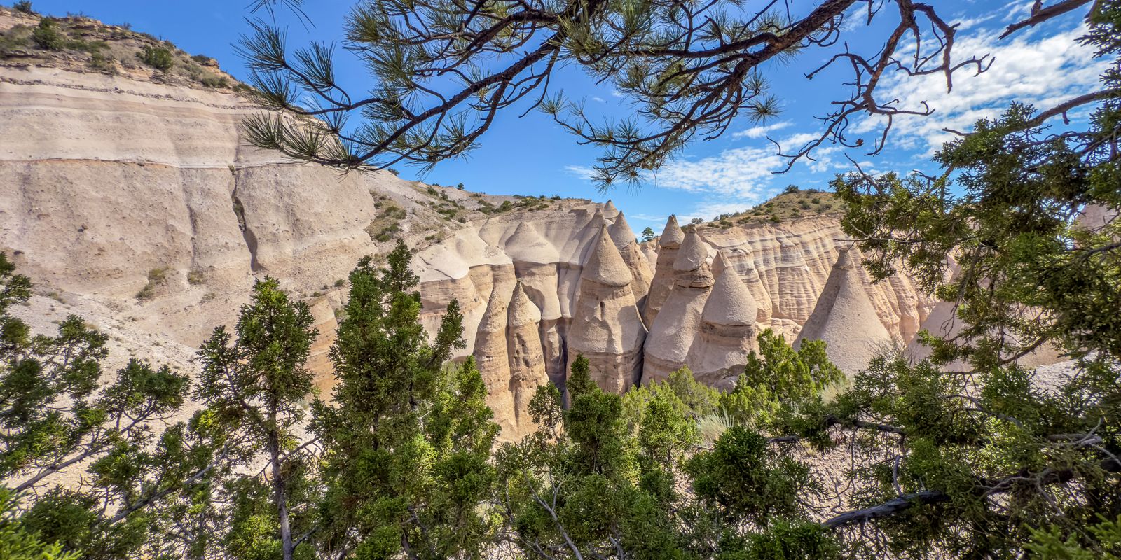 Pale cone-shaped rock formations below a cliff, framed by pine branches and blue sky