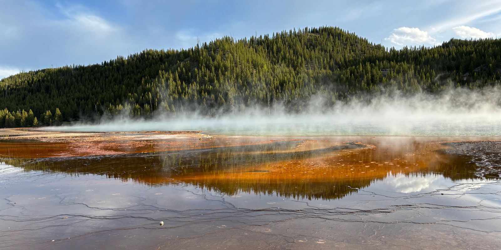 Steam rising over a shallow geothermal pool with orange mineral edges, pine-covered hill behind