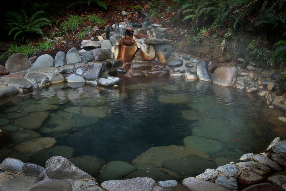 Clear stone-lined hot pool fed by a rock spout in a fern-covered forest bank