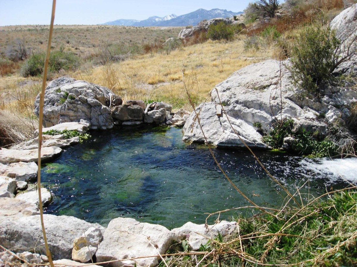 Gandy Warm Springs' clear rock-rimmed pool in dry grassland with mountains in distance