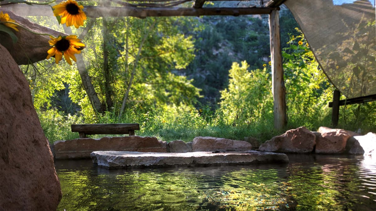 Shaded rock-edged hot pool at Gila Hot Springs Campground with sunflowers and green trees