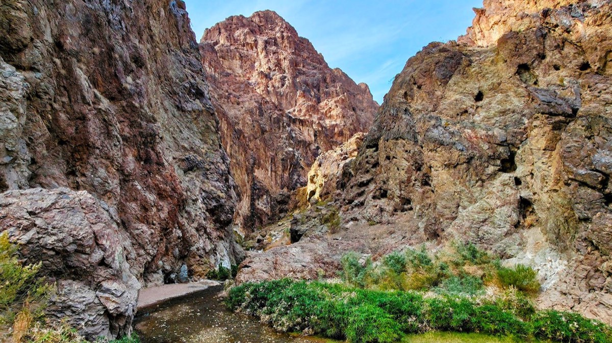 Goldstrike Canyon's rock walls rising above a creek and green brush on the canyon floor