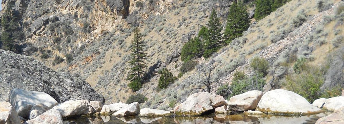 Clear soaking pool ringed by boulders below a sagebrush canyon slope with scattered firs