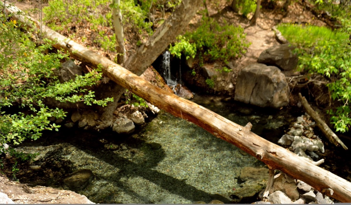 Clear spring pool among boulders in the Gila forest, with a fallen log across it and a small waterfall behind